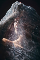 Elara Pre Draped Saree