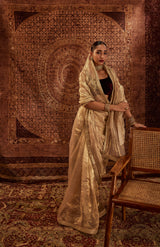 Zaina Saree