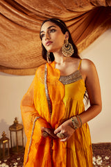 Tara Anarkali Set