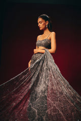 Elara Pre Draped Saree