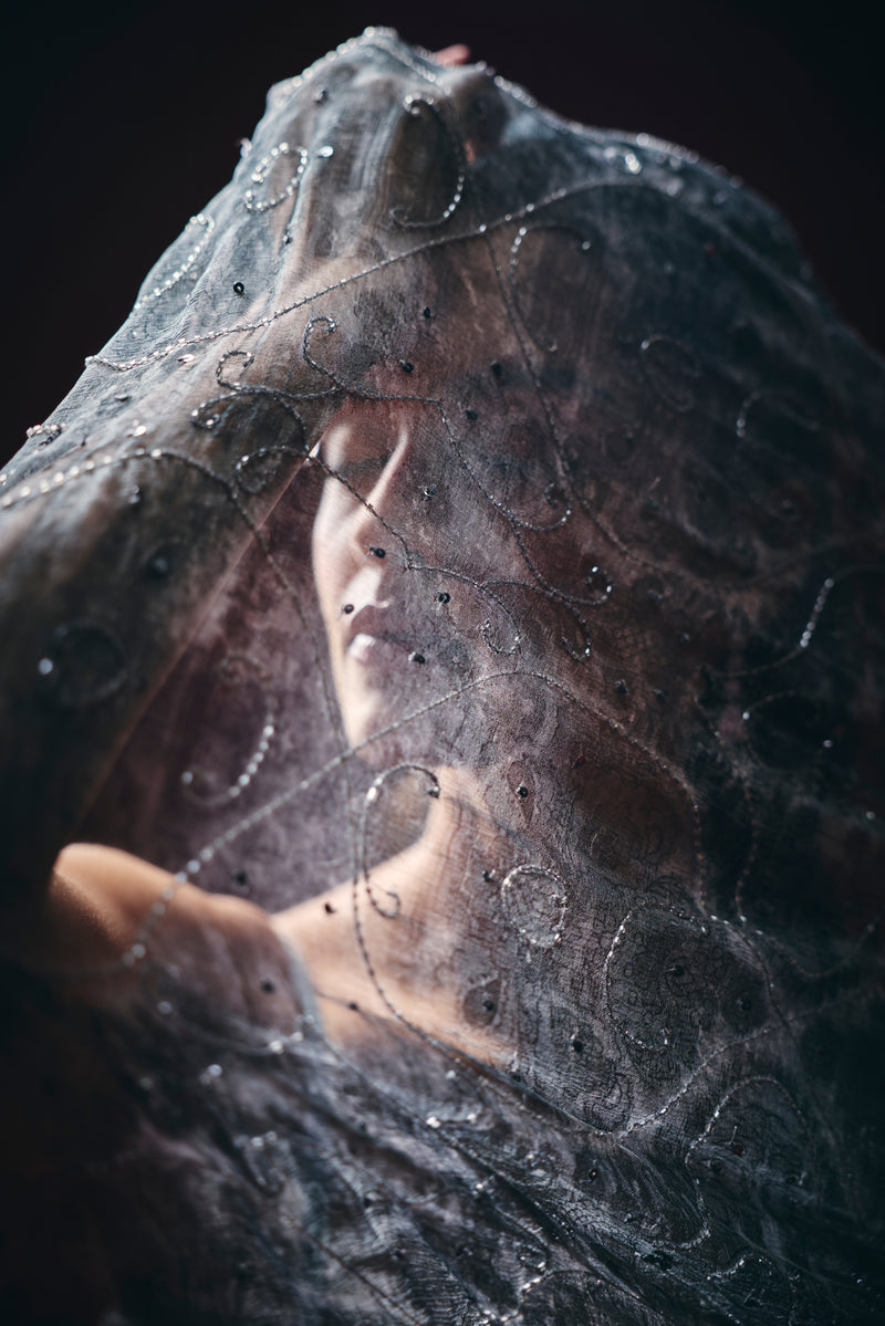 Elara Pre Draped Saree