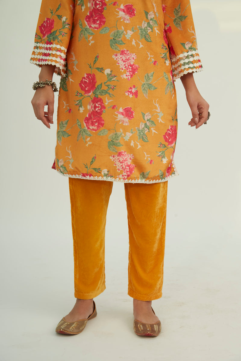 FAREEHA VELVET PANT